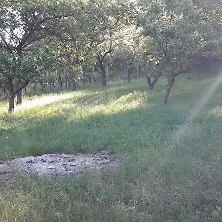 Relax Na Morave Domek letniskowy *